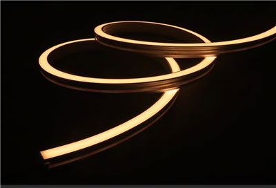 Flescibile a Neon Con Trim