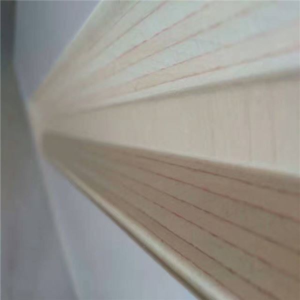 Peu ëse stæto fæto de mòddo ch'o pòsse ëse stæto fæto inte l'Aia Arr--am estr...